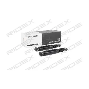 RIDEX 854S1744