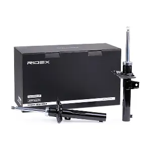 854S2045 RIDEX