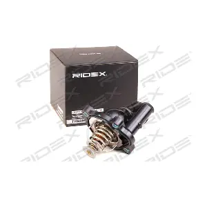RIDEX 316T0273