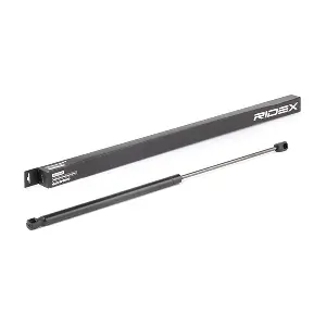 219G0909 RIDEX
