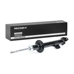 854S1076 RIDEX