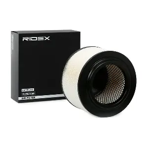 8A0589 RIDEX