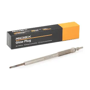 243G0124 RIDEX