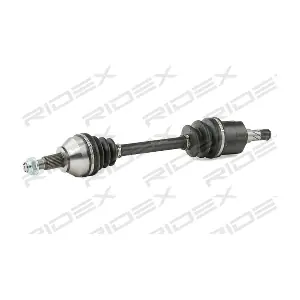 13D0496 RIDEX
