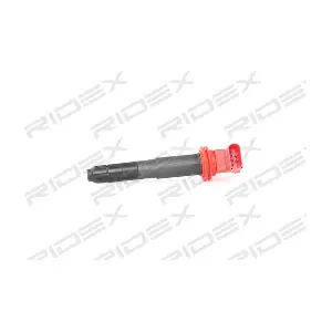 689C0276 RIDEX