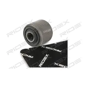 RIDEX 251T0131