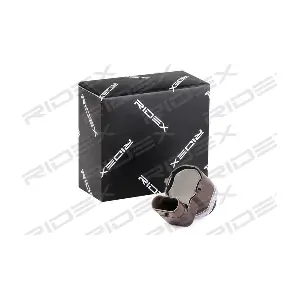 2412P0067 RIDEX
