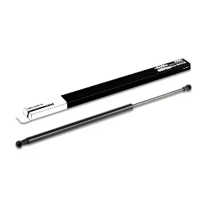 219G0145 RIDEX