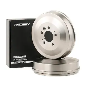 123B0219 RIDEX