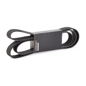 305P0491 RIDEX