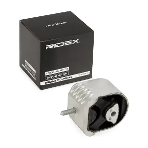 247E0293 RIDEX