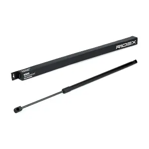 219G0963 RIDEX