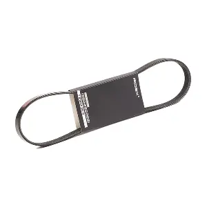 RIDEX 305P0197