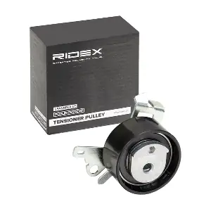 RIDEX 308T0066