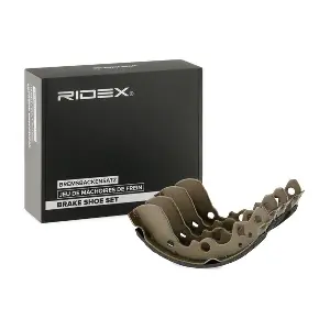 RIDEX 70B0253