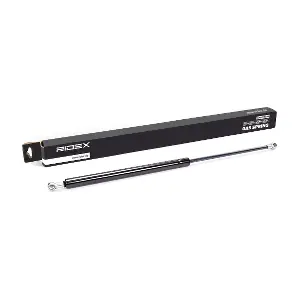 219G0098 RIDEX
