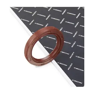RIDEX 572S0022