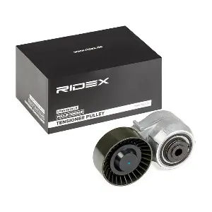 310T0257 RIDEX