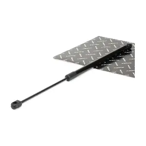 219G0110 RIDEX