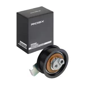 RIDEX 308T0161