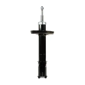 854S17976 RIDEX