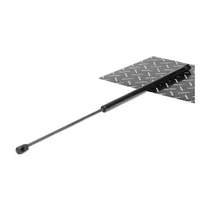219G0378 RIDEX