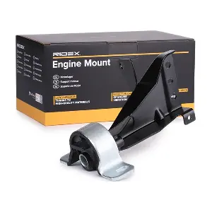 247E0251 RIDEX
