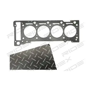 RIDEX 318G0192