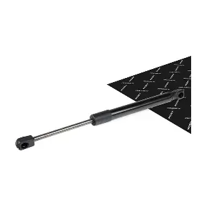 2454G0020 RIDEX