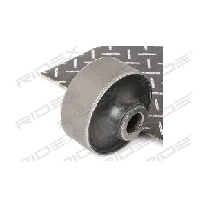 RIDEX 251T0296