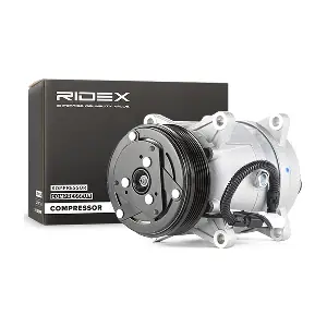 RIDEX 447K0110