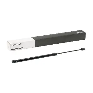 219G0905 RIDEX