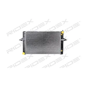 RIDEX 470R0299
