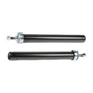 854S18251 RIDEX