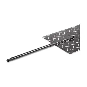 219G0807 RIDEX