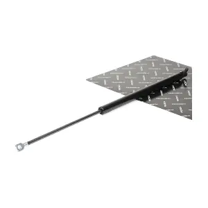 219G0201 RIDEX