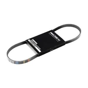 RIDEX 305P0124