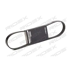 305P0456 RIDEX