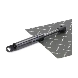 219G0670 RIDEX