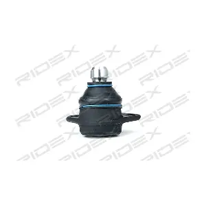 2462S0079 RIDEX