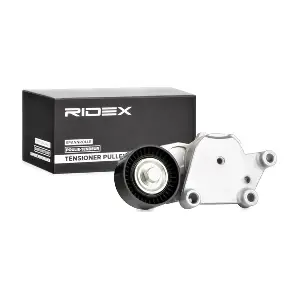 RIDEX 540T0013