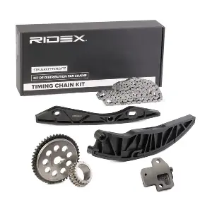 1389T0073 RIDEX