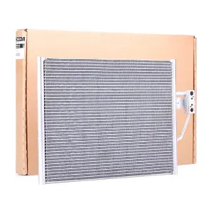 448C0101 RIDEX
