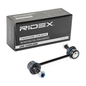 3229S0073 RIDEX