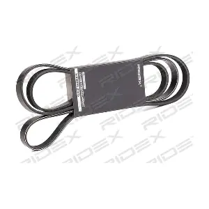 305P0455 RIDEX