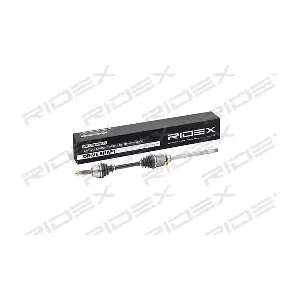 13D0043 RIDEX