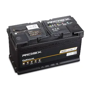 RIDEX 1S0018