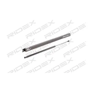 RIDEX 219G0750