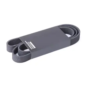 RIDEX 305P0444
