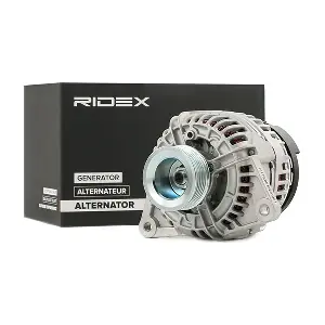 4G0807 RIDEX